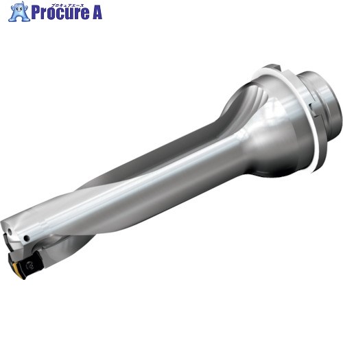 SANDVIK コロドリルDS20刃先交換式ドリル(465) DS20-D2900DM32-04 (465) 1本 ■▼216-5657 【送料都度見積】 ●KO521