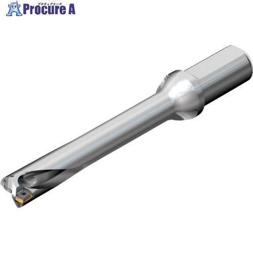 SANDVIK コロドリルDS20刃先交換式ドリル(465) DS20-D1745LX25-06 (465) 1本 ■▼216-5682 【送料都度見積】 ●KO521｜プロキュアエース