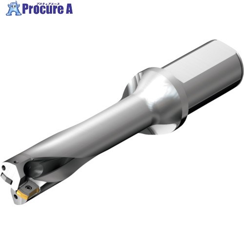 SANDVIK コロドリルDS20刃先交換式ドリル(465) DS20-D2540LX25-04 (465) 1本 ■▼216-5687 【送料都度見積】 ●KO521