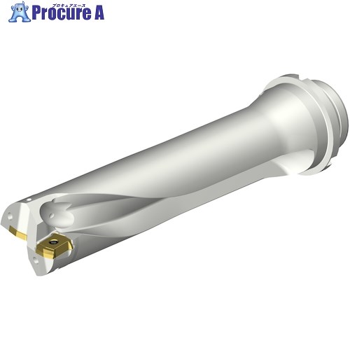 SANDVIK コロドリルDS20刃先交換式ドリル(465) DS20-D5000DM50-04 (465) 1本 ■▼339-1008 【送料都度見積】 ●KO521