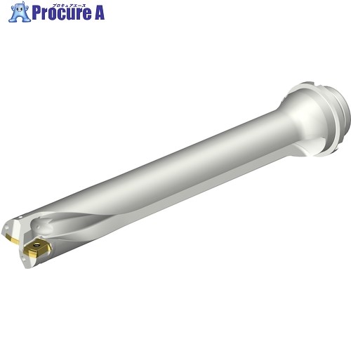 SANDVIK コロドリルDS20刃先交換式ドリル(465) DS20-D4400DM50-07 (465) 1本 ■▼339-7268 【送料都度見積】 ●KO521