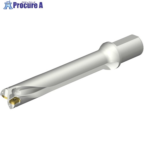 SANDVIK コロドリルDS20刃先交換式ドリル(465) DS20-D4500L50-06 (465) 1本 ■▼350-9405 【送料都度見積】 ●KO521