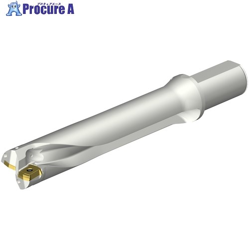 SANDVIK コロドリルDS20刃先交換式ドリル(465) DS20-D4128LX38-05 (465) 1本 ■▼351-0948 【送料都度見積】 ●KO521