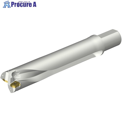 SANDVIK コロドリルDS20刃先交換式ドリル(465) DS20-D6100L50-05 (465) 1本 ■▼351-1006 【送料都度見積】 ●KO521 83,866円