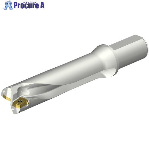 SANDVIK コロドリルDS20刃先交換式ドリル(465) DS20-D4128LX38-04 (465) 1本 ■▼351-1008 【送料都度見積】 ●KO521|プロキュアエース
