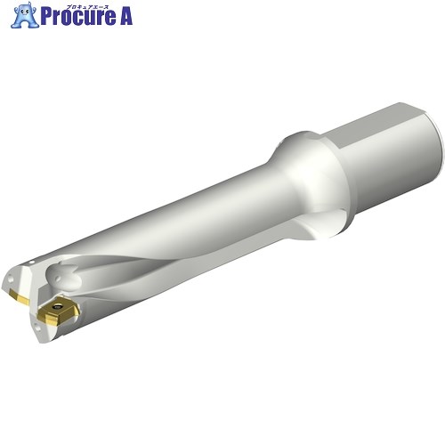 SANDVIK コロドリルDS20刃先交換式ドリル(465) DS20-D4600L50-04 (465) 1本 ■▼351-2514 【送料都度見積】 ●KO521