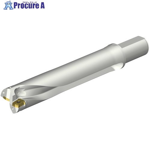 SANDVIK コロドリルDS20刃先交換式ドリル(465) DS20-D4763LX38-05 (465) 1本 ■▼351-2598 【送料都度見積】 ●KO521｜プロキュアエース