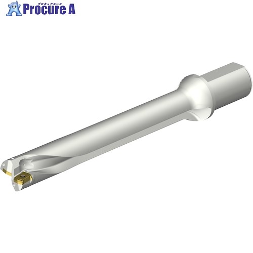 SANDVIK コロドリルDS20刃先交換式ドリル(465) DS20-D4200L50-07 (465) 1本 ■▼351-4088 【送料都度見積】 ●KO521