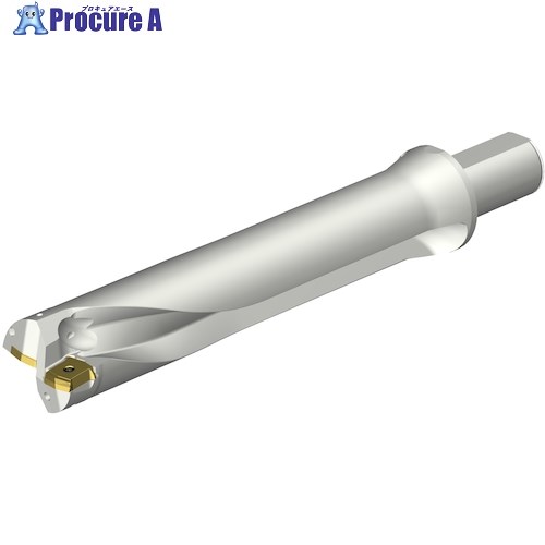 SANDVIK コロドリルDS20刃先交換式ドリル(465) DS20-D5398LX38-05 (465) 1本 ■▼351-4106 【送料都度見積】 ●KO521