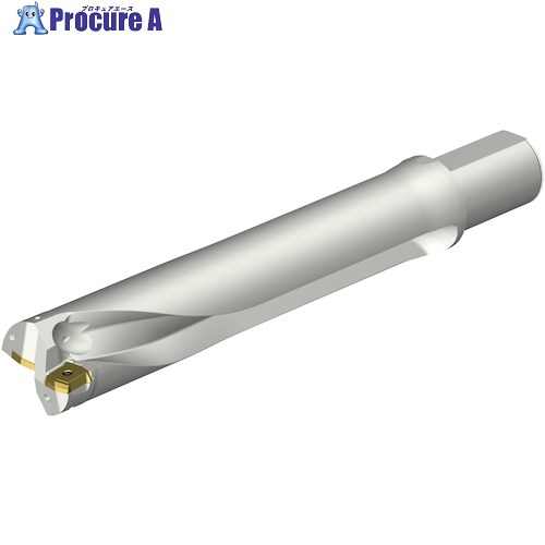 SANDVIK コロドリルDS20刃先交換式ドリル(465) DS20-D6000L50-05 (465) 1本 ■▼351-4142 【送料都度見積】 ●KO521