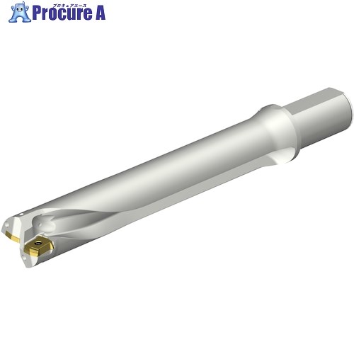 SANDVIK コロドリルDS20刃先交換式ドリル(465) DS20-D4285LX38-06 (465) 1本 ■▼351-4147 【送料都度見積】 ●KO521