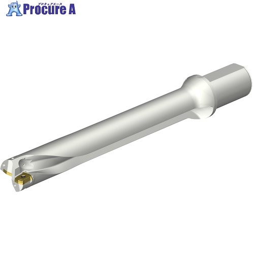 SANDVIK コロドリルDS20刃先交換式ドリル(465) DS20-D4500L50-07 (465) 1本 ■▼351-5669 【送料都度見積】 ●KO521