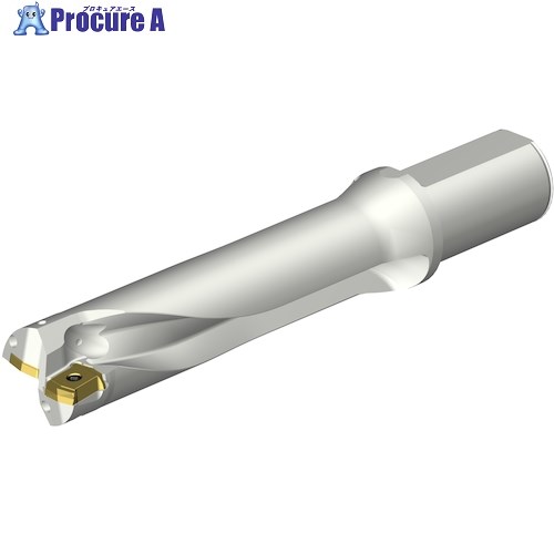 SANDVIK コロドリルDS20刃先交換式ドリル(465) DS20-D4100L40-04 (465) 1本 ■▼351-5751 【送料都度見積】 ●KO521|プロキュアエース