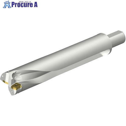 SANDVIK コロドリルDS20刃先交換式ドリル(465) DS20-D6350LX38-05 (465) 1本 ■▼351-5754 【送料都度見積】 ●KO521 83,866円