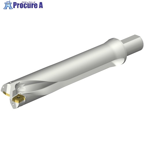 SANDVIK コロドリルDS20刃先交換式ドリル(465) DS20-D5715LX38-05 (465) 1本 ■▼351-5756 【送料都度見積】 ●KO521