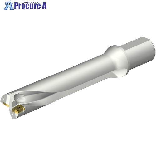 SANDVIK コロドリルDS20刃先交換式ドリル(465) DS20-D4900L50-05 (465) 1本 ■▼351-7245 【送料都度見積】 ●KO521