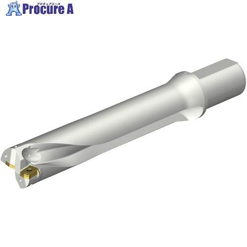 SANDVIK コロドリルDS20刃先交換式ドリル(465) DS20-D5200L50-05 (465) 1本 ■▼351-7296 【送料都度見積】 ●KO521