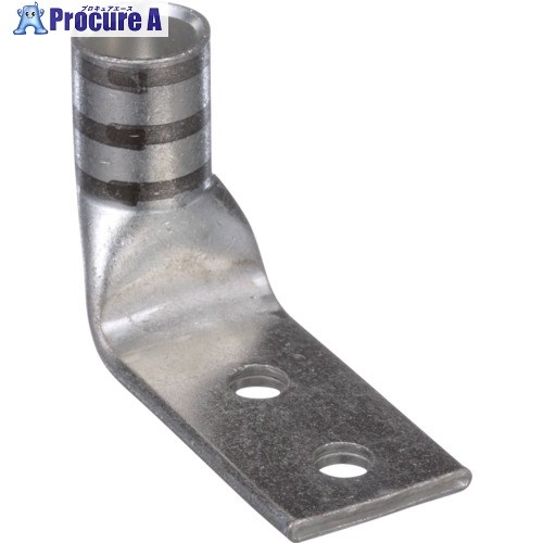 PANDUIT 銅製圧縮端子 2穴 電線サイズ AWG2/0 取付穴サイズ 6.4mm 取付穴間隔 19.1mm バレル角度 90度 LCDX2/0-14BF-X LCDX2/0-14BF-X 1袋 ■▼166-9816 【送料都度見積】 19,427円