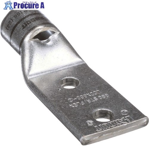 PANDUIT 銅製圧縮端子 2穴 電線サイズ 650 kcmil 取付穴サイズ 12.7mm 取付穴間隔 44.5mm LCDX650-12-6 LCDX650-12-6 1袋 ■▼167-1398 【送料都度見積】|プロキュアエース