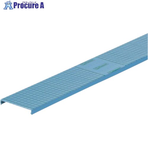 PANDUIT 導線導管 G/F/FS/D型導管用覆いかぶせる 青 C2IB6 6FT(フート) 1本 C2IB6 20本 ■▼392-9003 【貨物輸送都度積もり書き】※車上乗り合い船