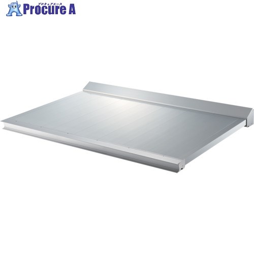 DAIKEN 軽銀庇 RSバイザー RS-KS 先っちょか細い形 600×2000 ステンカラー RSKS0620B 1台 ■▼244-5270【代引決済不可】 花・ガーデン・DIY-エクステリア・ガーデンファニチャー