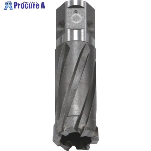 育良 ボアアップカッター(51172) ISK-BUC260 1個 ■▼859-8268 【送料都度見積】※個人宅様送り不可|プロキュアエース