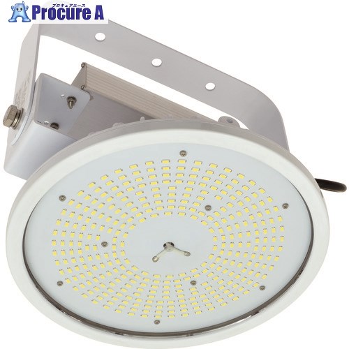 NICHIDO ハイスペックハイディスク100W 昼白色 吊下げ型 ワイド L100V2-P-HW-50K-N 1台 ■▼195-4996