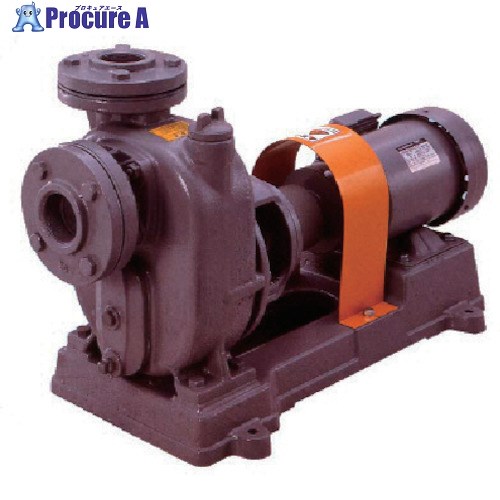 TERADA セルプラポンプ 鋳鉄製グランド式 モーター付 OL-4GE 60HZ WM 1台 ■▼249-2659