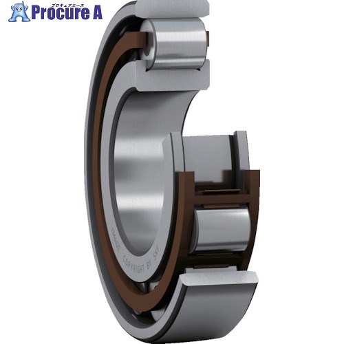 SKF 単列円柱ころ軸受 N型 C3唐鋤ま(唐鋤ま大) 口径100mmX外径180mmX幅34粍 N 220 ECP/C3 1個 ■▼390-4786 【貨物輸送都度積もり書き】