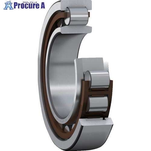 SKF 単列円柱ころ軸受 NU型 C3唐鋤ま(唐鋤ま大) 口径120mmX外径215mmX幅58粍 NU 2224 ECML/C3 1個 ■▼390-5178 【貨物輸送都度積もり書き】