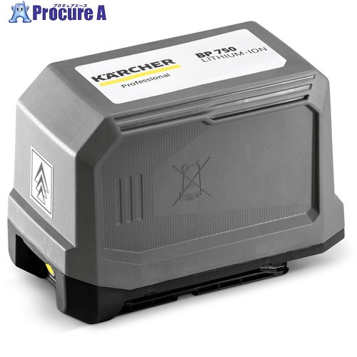 KARCHER 真空掃除機用付属品 リチウムイオンバッテリーBR30/4CBp T9/1用(4.654-016.0) 4.654-016.0 1個 ■▼325-7163