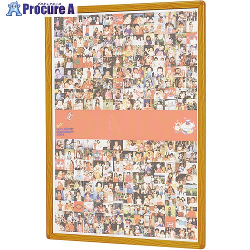 馬印 楽ラクパネル・ラクパ-A2(木目調) QM-A2W 1枚 ■▼391-1950 【送料都度見積】｜プロキュアエース