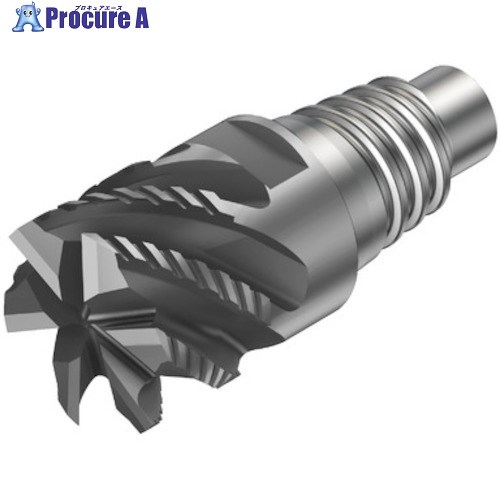 SANDVIK コロミル316 フライス製作用超硬上端(345) 1730 316-10SM545-10004K  1730 (345) 1個 ■▼351-5735 【貨物輸送都度積もり書き】 ●KO521
