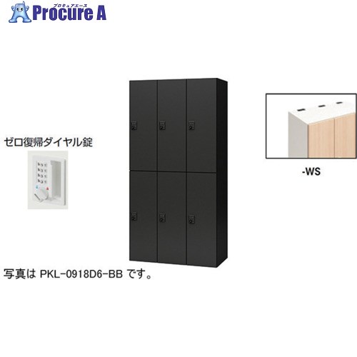 NAIKI パーソナルロッカー(6人用) ポッケ PKL型 ラージタイプ ゼロ復帰ダイヤル錠 PKL-0918DR6-WS 1台 ■▼612-3908 ※個人宅様送り不可|プロキュアエース
