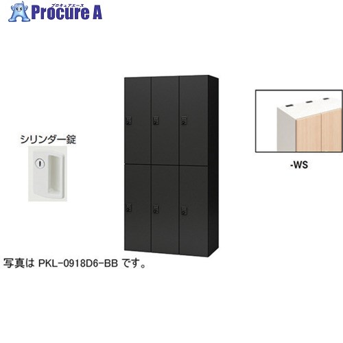 NAIKI 個人的ロッカー(6人用) 衣嚢 PKL型 ラージタイプ 円柱錠 PKL-09186-WS 1台 ■▼612-3911 ※人間宅様送ること不可