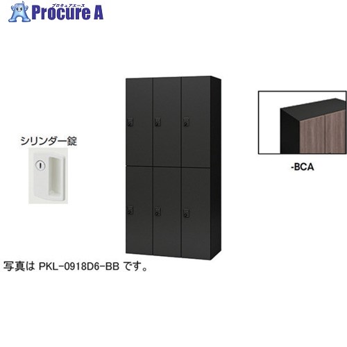 NAIKI 個人的ロッカー(6人用) 衣嚢 PKL型 ラージタイプ 円柱錠 PKL-09186-BCA 1台 ■▼612-4129 ※人間宅様送ること不可