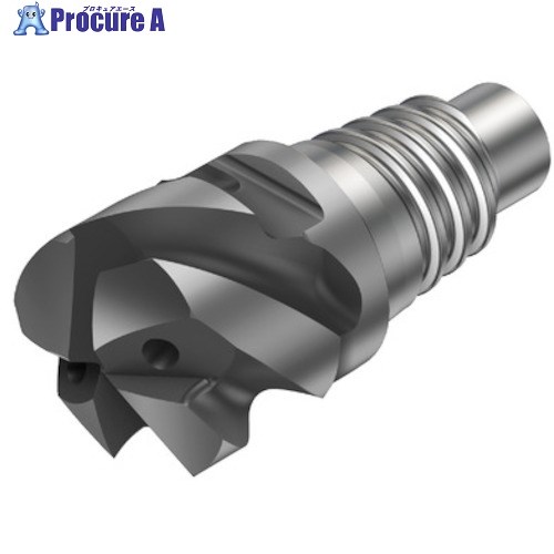 SANDVIK コロミルCoroMill[[R上]]316 高送り正面フライス加工用超硬ヘッド(345) 1730 316-10HM450C10015P 1730 (345) 1個 ■▼313-5733 【送料都度見積】 ●KO521｜プロキュアエース