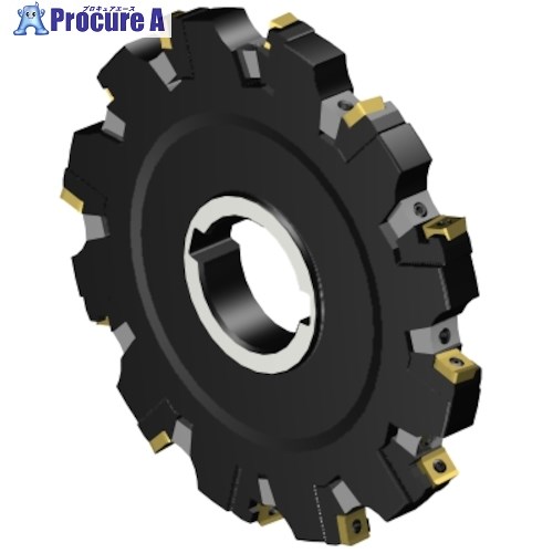 SANDVIK コロミル331 調整式サイドディスクカッター(450) N331.32-203T51LM0.689 (450) 1台 ■▼315-3845 【送料都度見積】 ●KO521