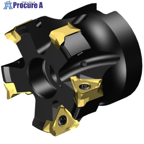 SANDVIK コロミルMS60肩削り裁断師(455) MS60-R050Q22-16H 1個 ■▼657-2310 【貨物輸送都度積もり書き】 ●KO521