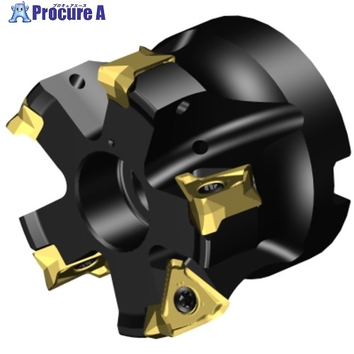 SANDVIK コロミルMS60肩削り裁断師(455) MS60-AR051R19-16H 1個 ■▼657-3977 【貨物輸送都度積もり書き】 ●KO521