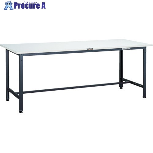 TRUSCO 軽荷重作業台(300kg)AE型 1500X900XH740 基本タイプ ダークグレー色 RAE-1509 DG 1台 ■▼454-5575