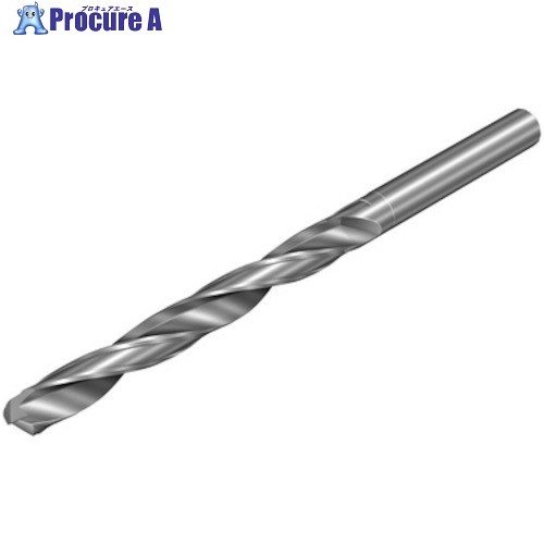 SANDVIK コロドリル452 超硬ソリッドドリル(720) H10F 452.1-0410-045A0-コマーシャル H10F (720) 1本 ■▼313-9100 【貨物輸送都度積もり書き】 ●KO521