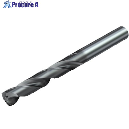SANDVIK コロドリル460 超硬ソリッドドリル(722) GC34 460.1-0422-021A1-XM GC34 (722) 1本 ■▼314-5422 【貨物輸送都度積もり書き】 ●KO521