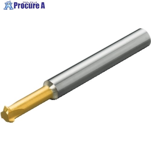 SANDVIK コロミル326 面取り製作用超硬エンドミル(730) 1025 A326R06-M2502006-CH 1025 (730) 1本 ■▼314-9961 【貨物輸送都度積もり書き】 ●KO521