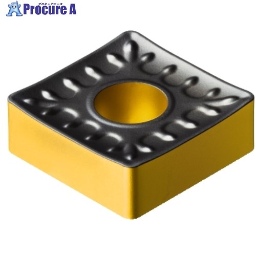 SANDVIK 旋削加工用チップ T-MaxP(112) 4415 SNMM250724-QR  4415 5個 ■▼657-3951 【送料都度見積】 ●KO521 旋削用チップ-花・ガーデン・DIY