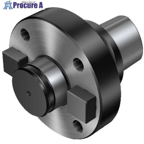 SANDVIK コロマントキャプト アーバアダプタ(530) C10-391.05-60 075 1個 ■▼566-5094 【貨物輸送都度積もり書き】 ●KO521 手動工具-花・ガーデン・DIY