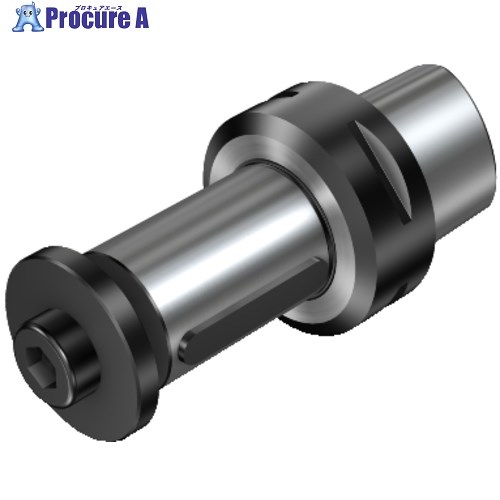 SANDVIK コロマントキャプト サイドカッターおよび正面フライスカッターアーバアダプタ(530) C10-391.10-60 040 1台 ■▼566-5167 【送料都度見積】 ●KO521｜プロキュアエース
