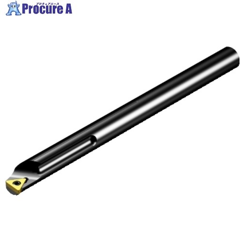 SANDVIK コロターン107 ポジ心付け用超硬刺し通す働き口(210) E10M-STUCL 06-GR (210) 1本 ■▼570-8061 【貨物輸送都度積もり書き】 ●KO521 DIY・工具-その他