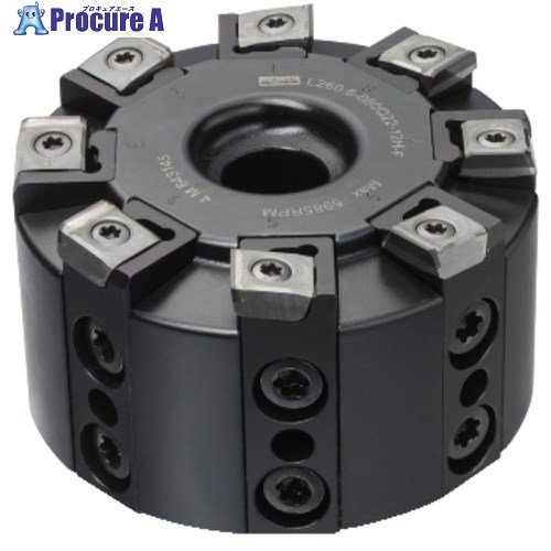 SANDVIK オートAFカッター用カセット(810) L260.8-2-12L (810) 1個 ■▼571-2874 【送料都度見積】 ●KO521