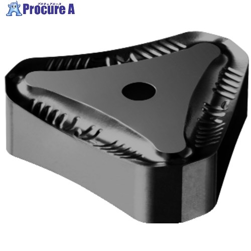 SANDVIK オートカッター用チップ(170) 3040 TNEF 12 04 AN-WL 3040 (170) 10本 ■▼579-4528 【送料都度見積】 ●KO521